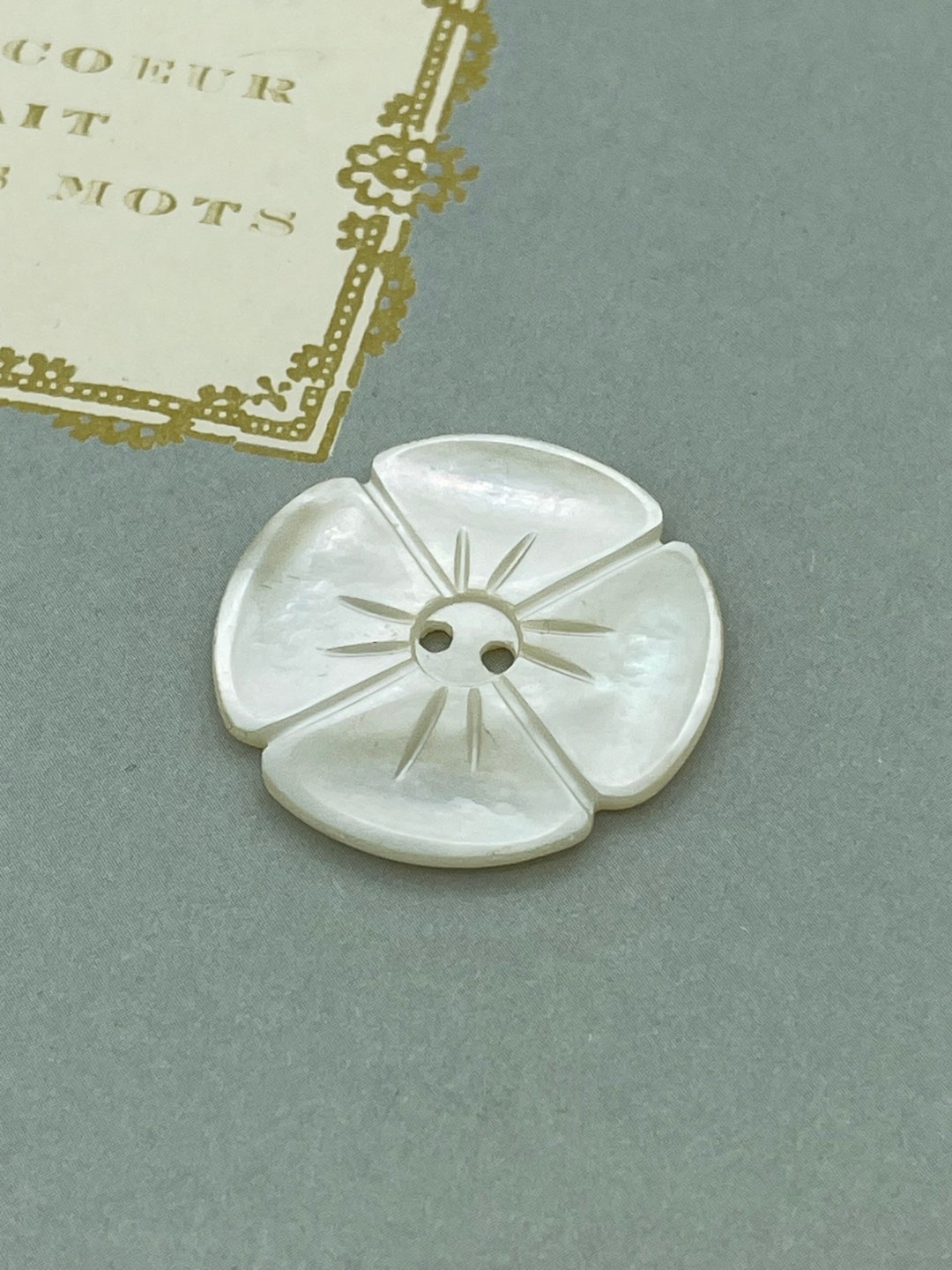 Victorian Carved Floral Ivory Pearl White Shell Coat Button / Antique ...