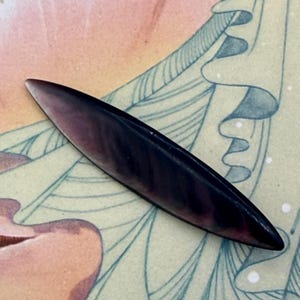 Può includere: Un oggetto scuro, allungato, di forma ovale, con una superficie lucida. L'oggetto presenta un gradiente di colori, che passa da un viola intenso a una tonalità più chiara e rossastra. Lo sfondo presenta un'illustrazione morbida a tema floreale con colori pastello.