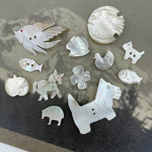 Botões de animais de concha vintage / Escolha UM