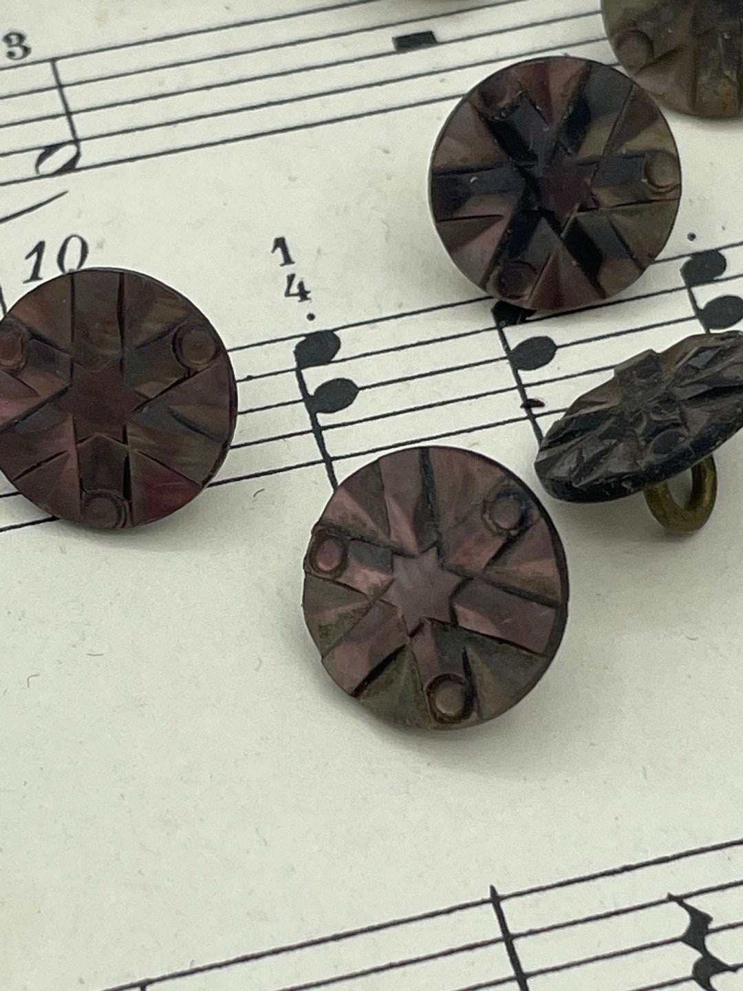 Victorian Smokey Pearl Carved Shell Button / 1/2" - Etsy