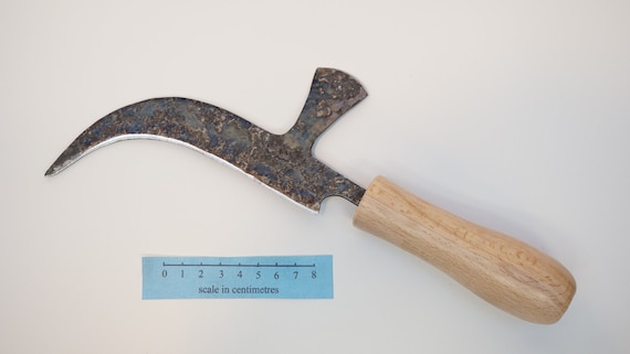 Scarpe Da Ginnastica Lotto Connect VL K - Unisex Bambini/Ragazzi, Suola EVA, Sintetico - Foto 2