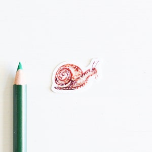 Tiny Snail Sticker, Die Cut 1x1, Handmade Vinyl Sticker from Acrylic Painting, Garden Snail image 2