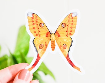 Comet Moth Sticker, Die Cut 2.71" x 3", Handmade Vinyl Sticker from Acrylic Painting, Moths Sticker Collection Set, Madagascan moon moth