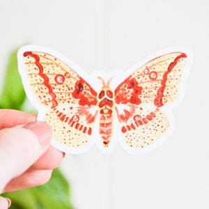 Imperial Moth Sticker, Die Cut 3&quot; x 1.88&quot;, Handmade Vinyl Sticker from Acrylic Painting, Moths Sticker Collection Set, Eacles imperialis