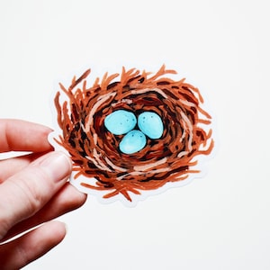 Robin's Nest Sticker, Die Cut 3"x2", pegatina de vinilo hecha a mano de pintura acrílica, pájaro, huevo, nido de pájaro