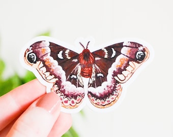 Pegatina de polilla de seda Promethea: vinilo acrílico hecho a mano