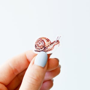 Tiny Snail Sticker, Die Cut 1x1, Handmade Vinyl Sticker from Acrylic Painting, Garden Snail image 4