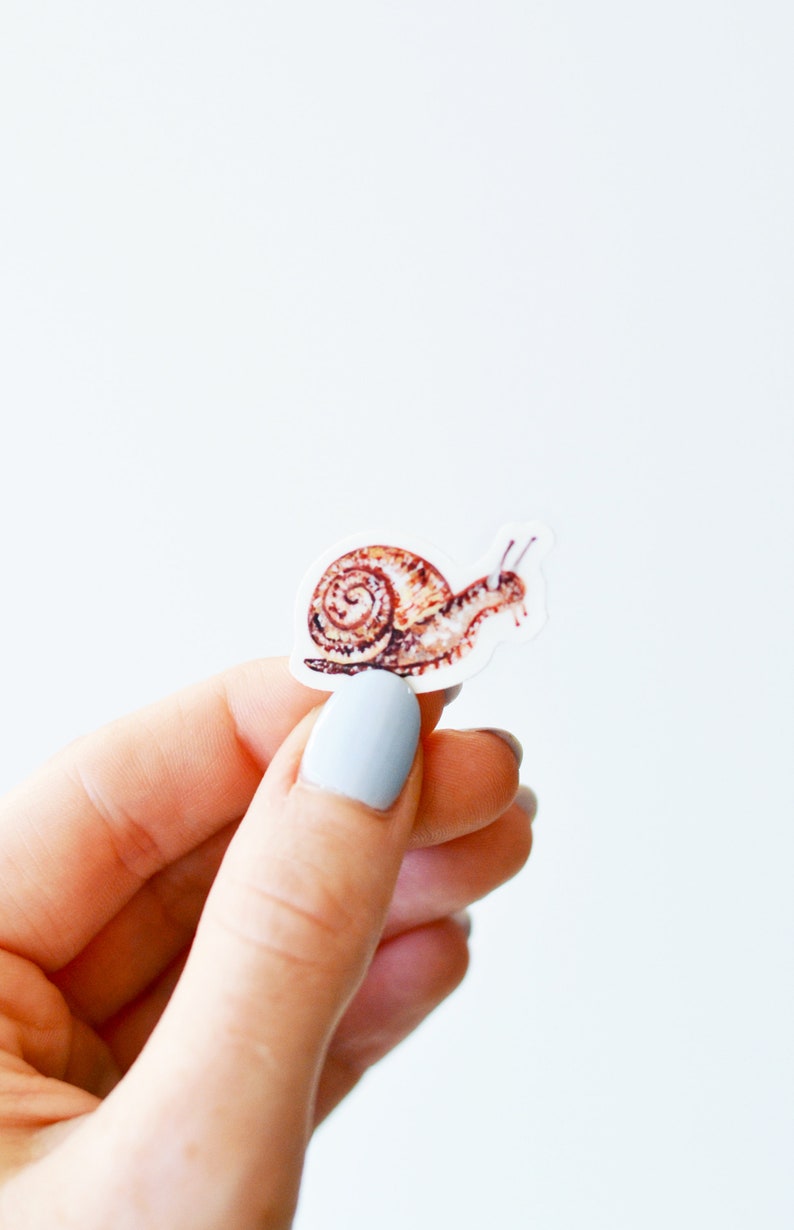 Tiny Snail Sticker, Die Cut 1x1, Handmade Vinyl Sticker from Acrylic Painting, Garden Snail image 4