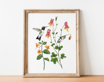 Ruby-Throated Hummingbird Botanical Art Print, 8x10 Wall Art, Butterfly and Caterpillar, Eastern Columbine and Spotted Jewelweed Plants