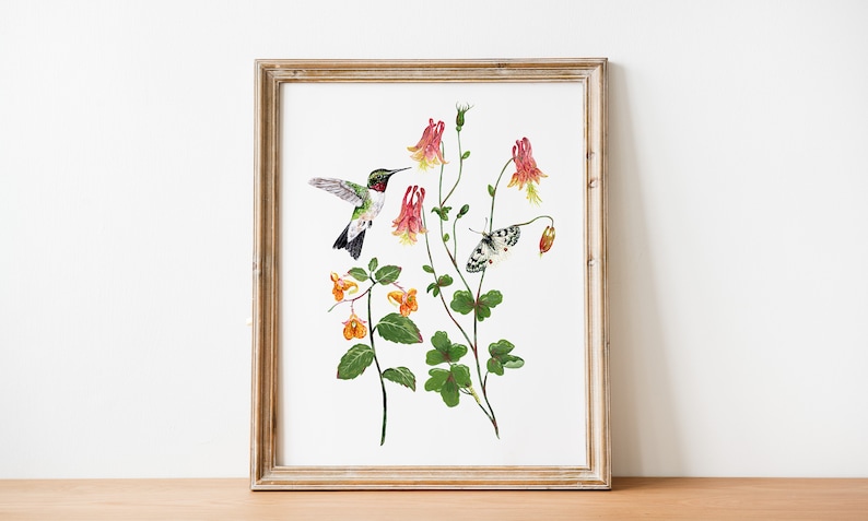 Ruby-Throated Hummingbird Botanical Art Print, 8x10 Wall Art, Butterfly and Caterpillar, Eastern Columbine and Spotted Jewelweed Plants image 1