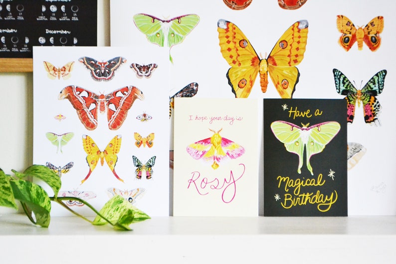 Haben Sie eine magische Geburtstags-Grußkarte, 13x18, 100% Recyclingpapier, Luna Moth, Happy Birthday Card, Magical Moths Whimsical, Painted Bild 9