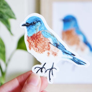 Bluebird Sticker, Die Cut 3 x 3, Handmade Vinyl Sticker from Acrylic Painting, Bird Species Stickers image 4