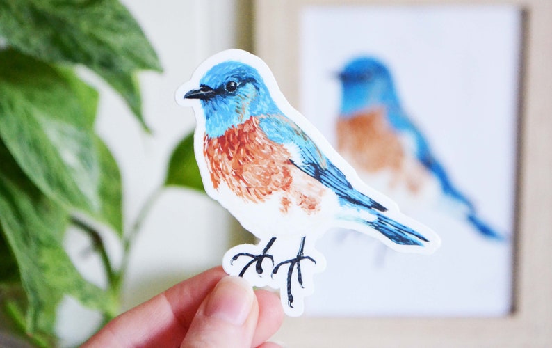 Bluebird Sticker, Die Cut 3 x 3, Handmade Vinyl Sticker from Acrylic Painting, Bird Species Stickers image 4