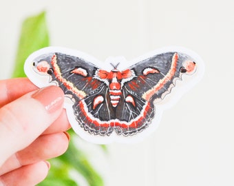 Cecropia Moth Sticker, Die Cut 3" x 1.65", Handmade Vinyl Sticker from Acrylic Painting, Moths Sticker Collection Set