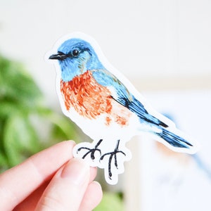 Bluebird Sticker, Die Cut 3 x 3, Handmade Vinyl Sticker from Acrylic Painting, Bird Species Stickers image 1