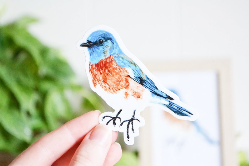 Bluebird Sticker, Die Cut 3 x 3, Handmade Vinyl Sticker from Acrylic Painting, Bird Species Stickers image 1