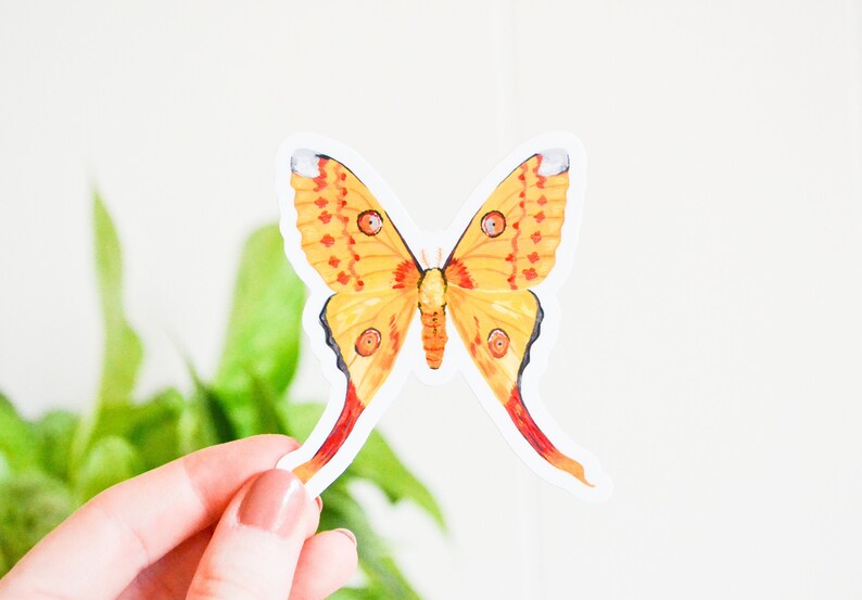 Comet Moth Sticker, Die Cut 2.71 x 3, Handmade Vinyl Sticker from Acrylic Painting, Moths Sticker Collection Set, Madagascan moon moth image 1