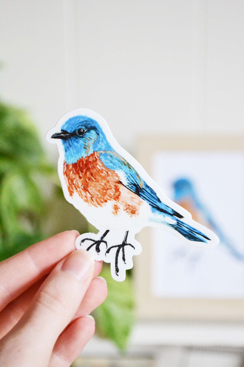 Bluebird Sticker, Die Cut 3 x 3, Handmade Vinyl Sticker from Acrylic Painting, Bird Species Stickers image 2