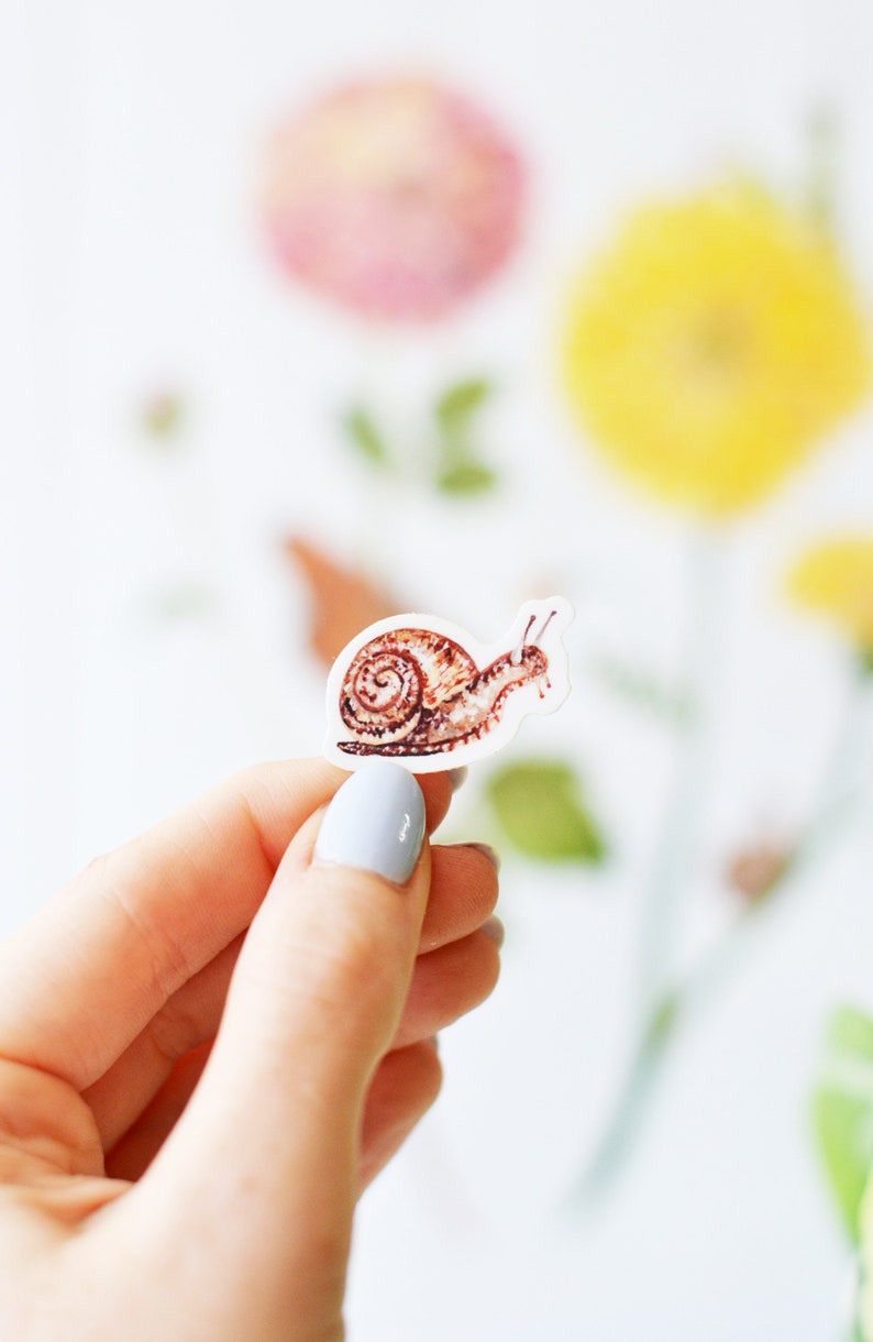 Tiny Snail Sticker, Die Cut 1x1, Handmade Vinyl Sticker from Acrylic Painting, Garden Snail image 1