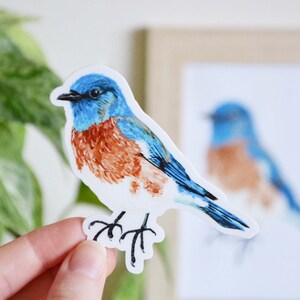 Bluebird Sticker, Die Cut 3 x 3, Handmade Vinyl Sticker from Acrylic Painting, Bird Species Stickers image 3