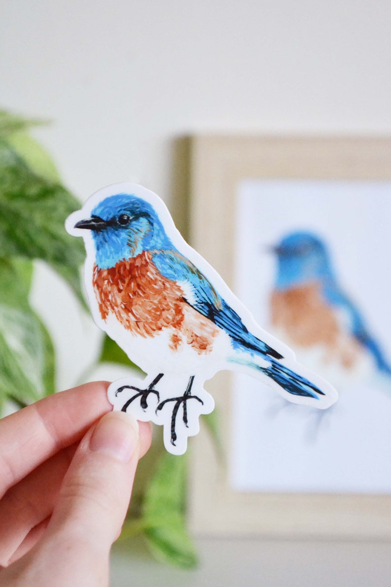 Bluebird Sticker, Die Cut 3 x 3, Handmade Vinyl Sticker from Acrylic Painting, Bird Species Stickers image 3