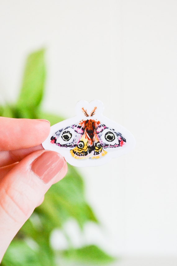 Small Moth Stickers