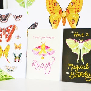 Haben Sie eine magische Geburtstags-Grußkarte, 13x18, 100% Recyclingpapier, Luna Moth, Happy Birthday Card, Magical Moths Whimsical, Painted Bild 10