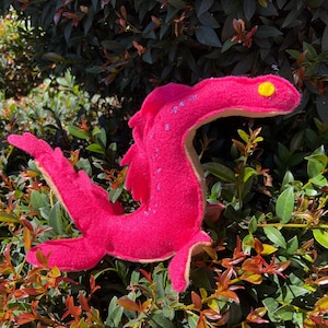 Idaho Sharlie, cryptid plush