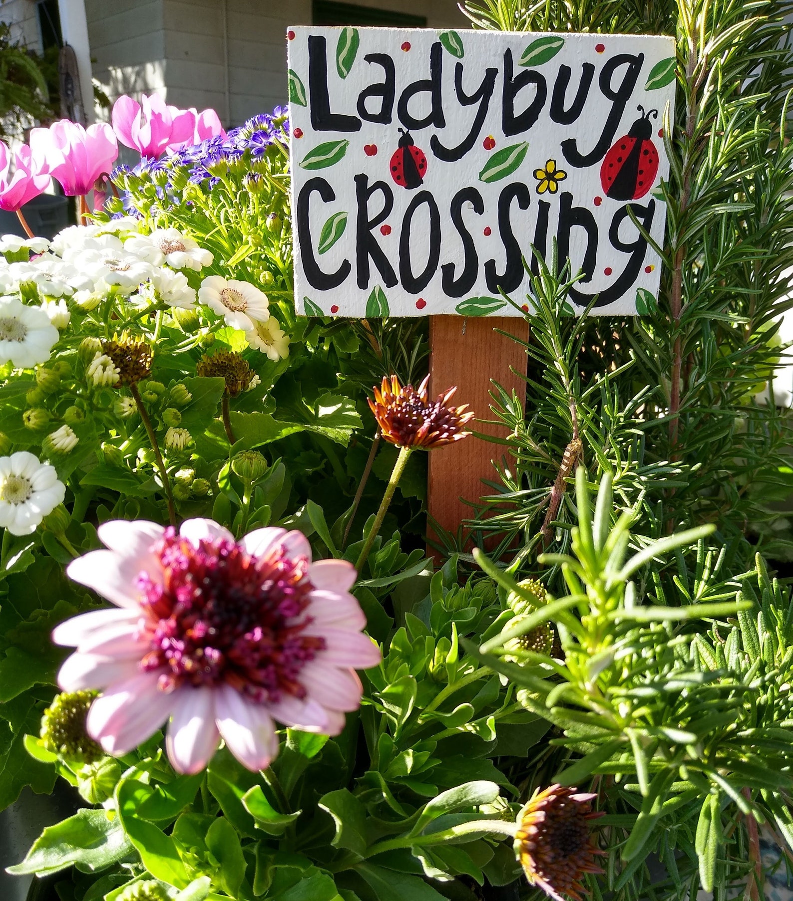 Garden Ladybug Sign, Ladybug Crossing Wooden Sign,rustic Flower