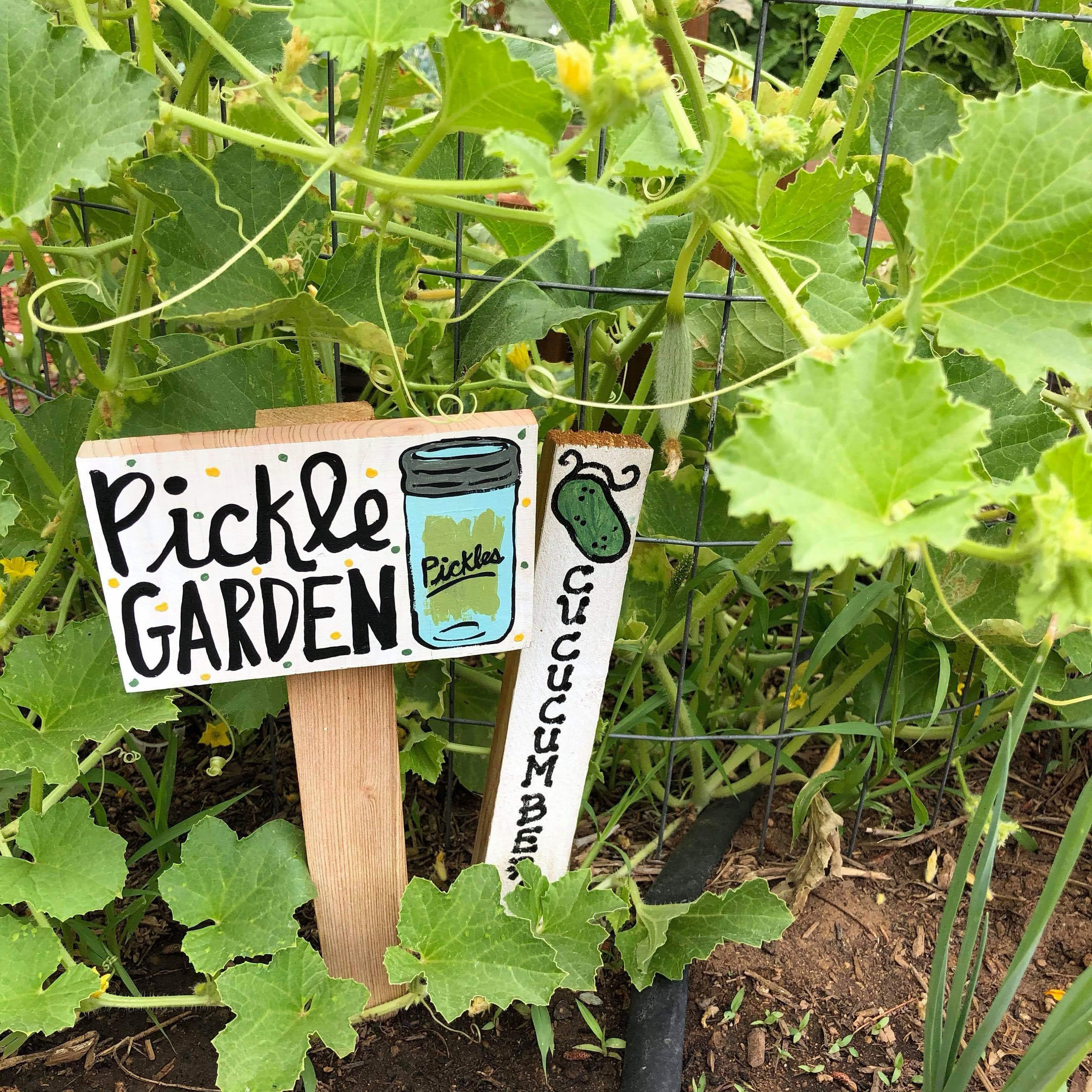 Homemade Pickle Sign Hand Painted Pickle Garden Marker Set, Wood Vegetable Signs - Etsy