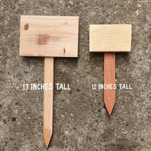 May include: Two wooden garden signs. The larger sign is 17 inches tall, and the smaller sign is 12 inches tall. Both signs have a rectangular top and a pointed stake. The text "17 INCHES TALL" and "12 INCHES TALL" are printed on the signs.