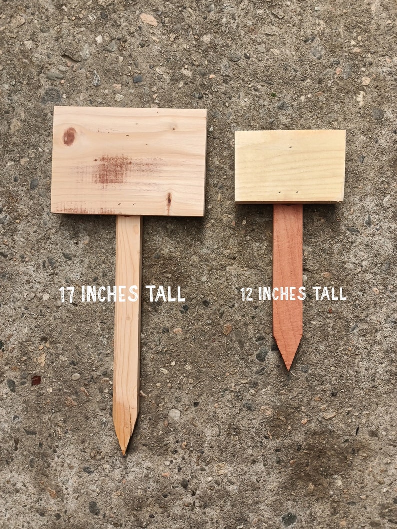 thumbnail image 2 of DIY Fresh Produce Wood Sign - Jennifer Rizzo 2 of 11