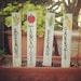 Garden Stakes, Garden Markers, Plant Markers, Plant Stakes, Vegetable Markers, Wood Garden Markers, Decorative Garden Stakes 