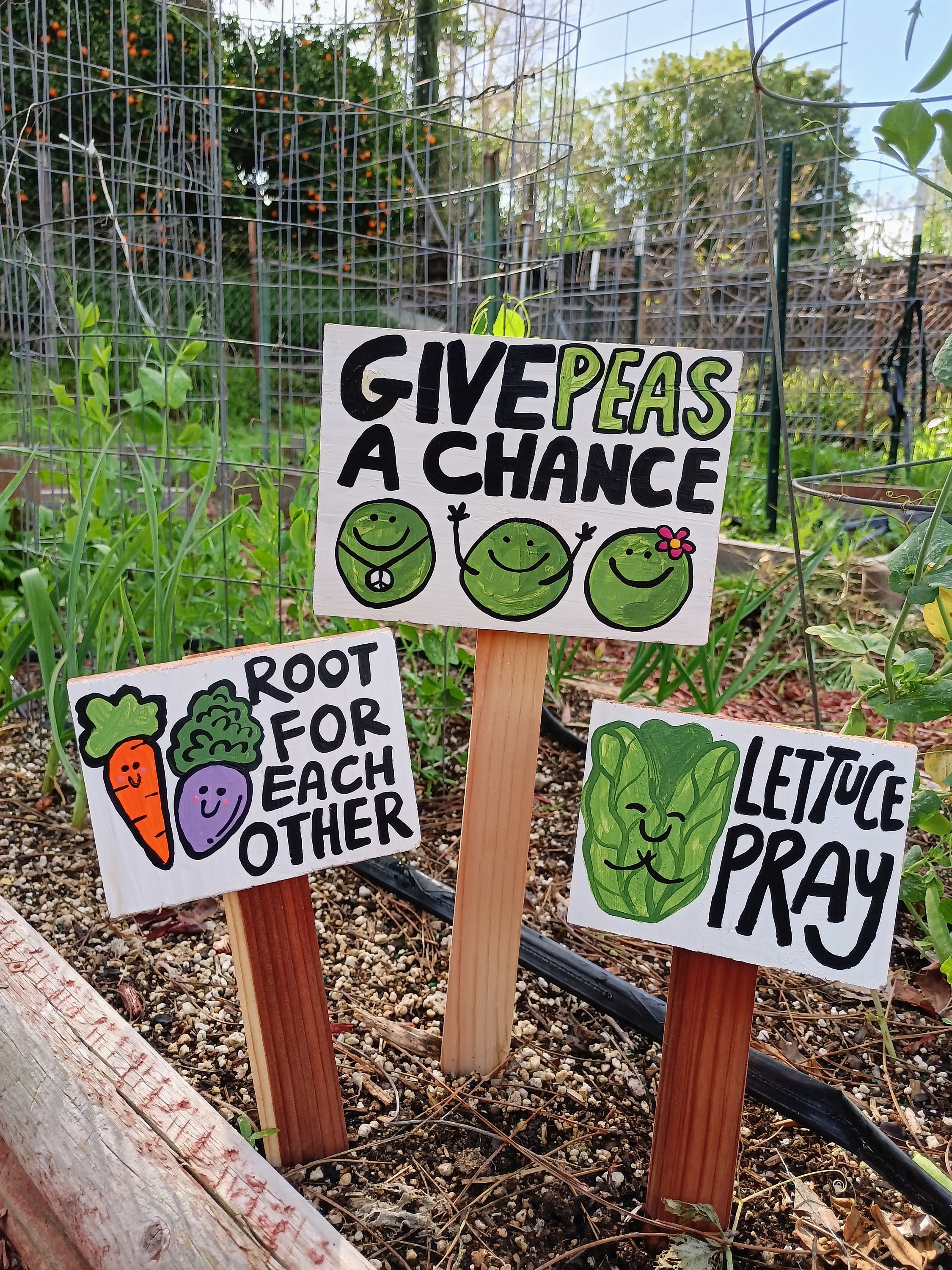 Vegetable Garden Sign Set Funny Gardener Gift Farmer Decor Rustic Kids  Garden - Etsy