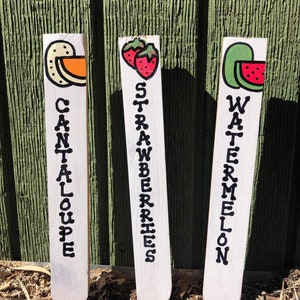 Garden Markers-Vegetable Garden Tags-Handmade Signs-Plant ID Stakes- Custom Plant Labels