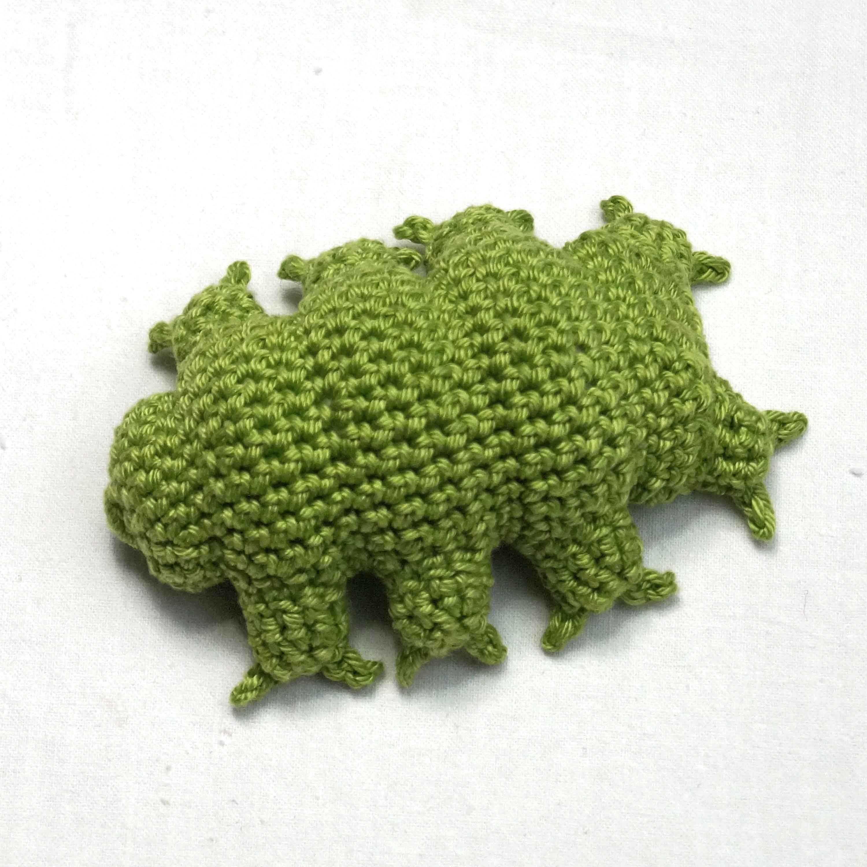 Tardigrade Crochet PATTERN Tardigrade PDF Download Amigurumi Etsy UK