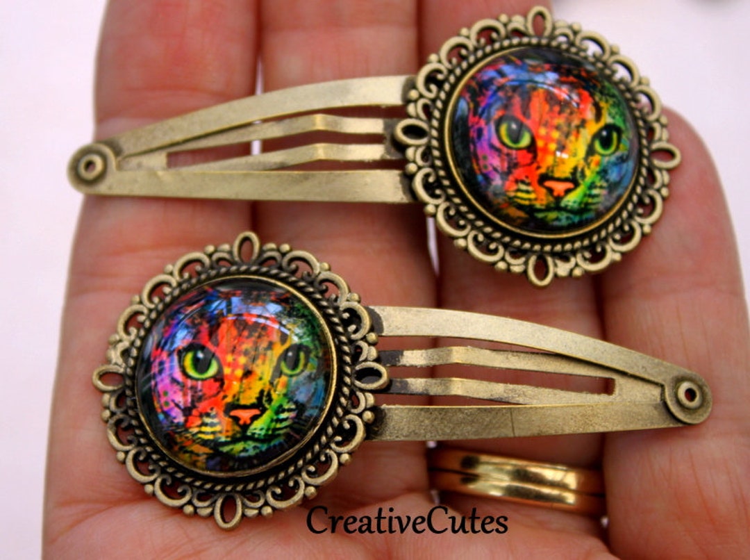 Rainbow Cat Hair Clips Set of 2 Brass Snap Hair Clips Etsy