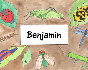 Childrens Personalized Placemat laminated Bugs Insects