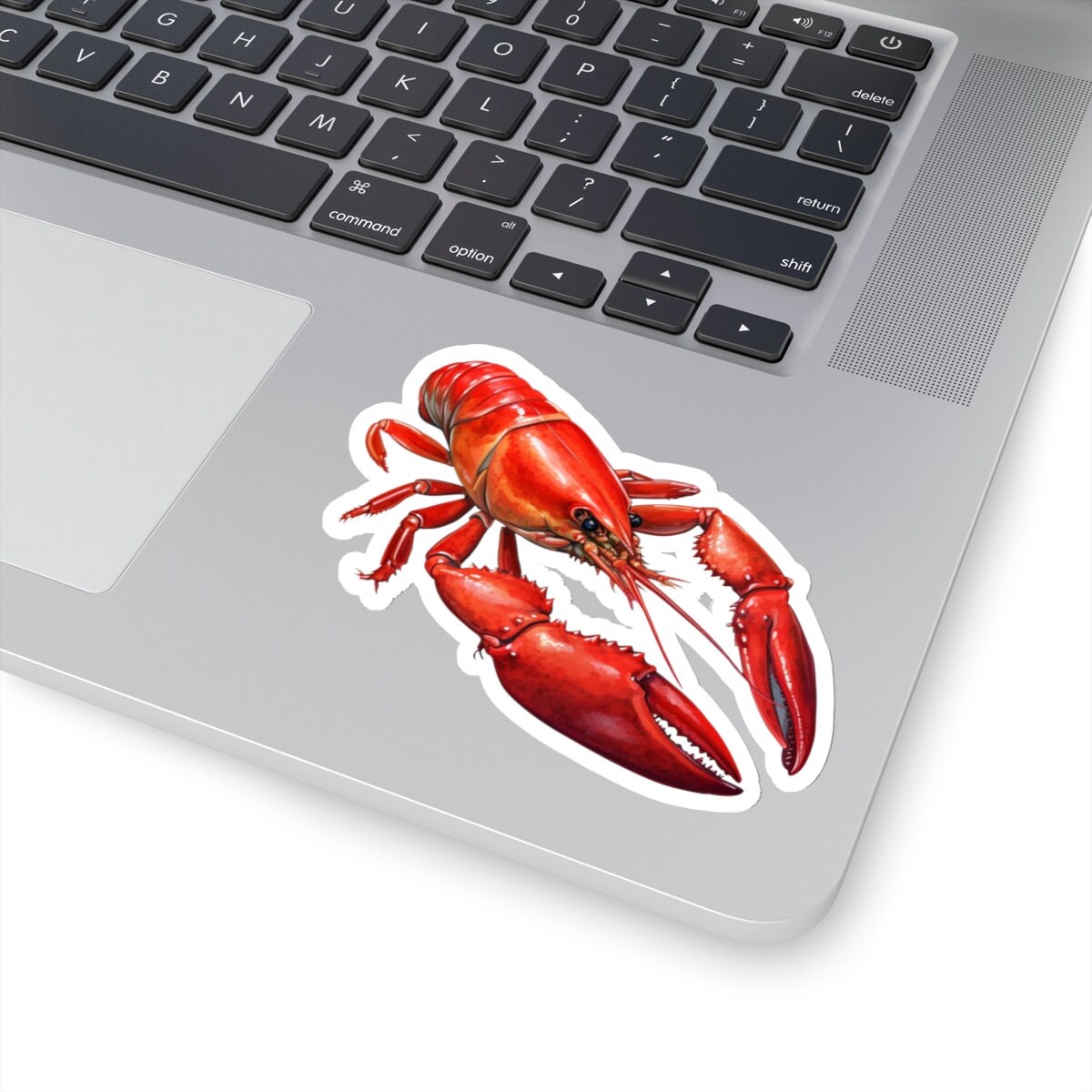 Crawfish Sticker Kiss-cut - Etsy