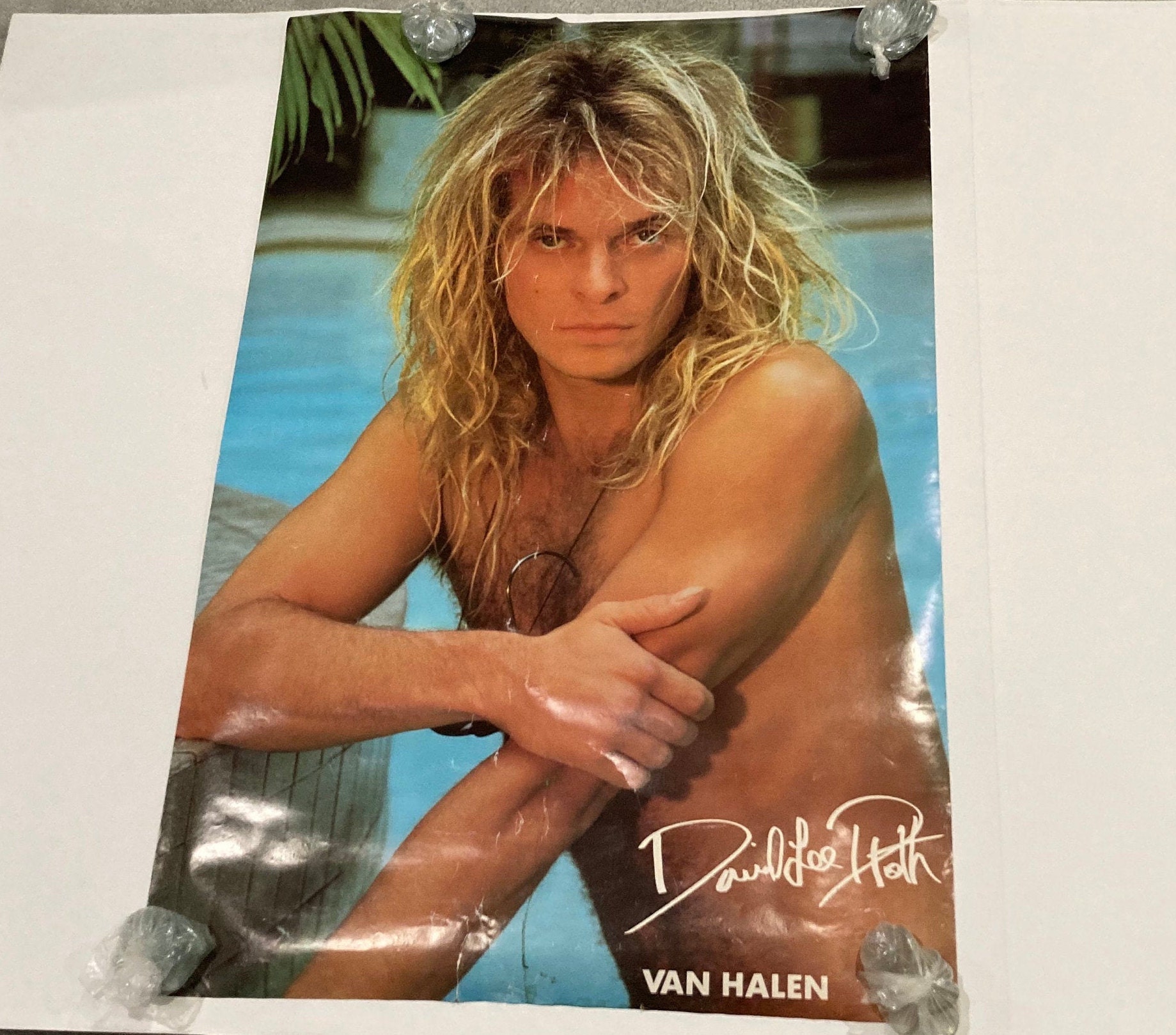 David Lee Roth Poster Vintage 80's Original Early Glamour Swimming