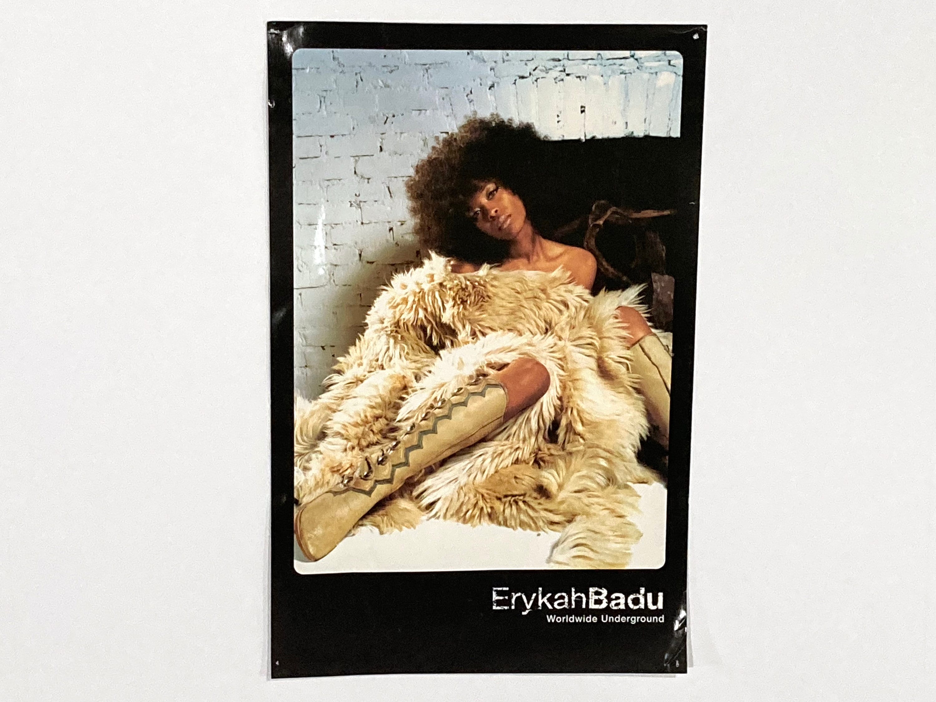 Erykah Badu Worldwide Underground Poster Record Store
