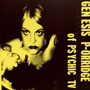 Genesis P-orridge Poster Vintage 90s Psychic TV - Pigface Performance