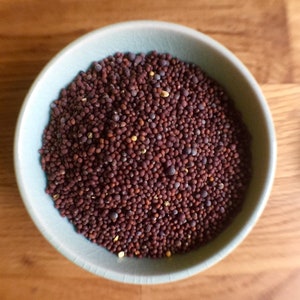 Brown Mustard Seed - various sizes