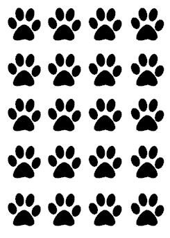 cat portion size