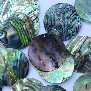 May include: A collection of iridescent abalone shell circles with a green, blue, and purple color scheme. The shells have a natural, organic texture and are perfect for crafting projects.