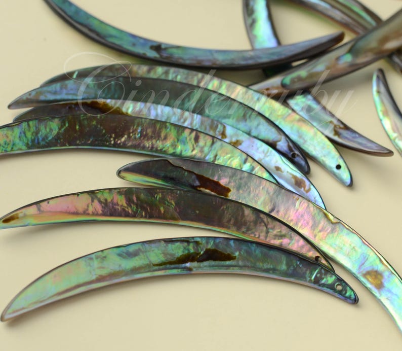 70-80mm Large Abalone Paua Shell Tusks, Genuine Sea Shell Stick Beads ...