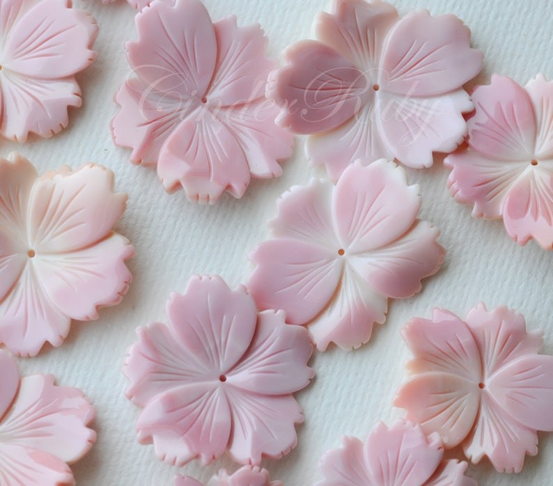 30-45 Mm Large Pink Shell Flowerspink Conch 5 Petal Freedom - Etsy