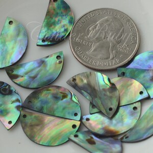 May include: A group of 12 iridescent abalone shell half-circles with two holes each. The shells are a mix of green, blue, and purple colors. A US quarter is included for size reference.
