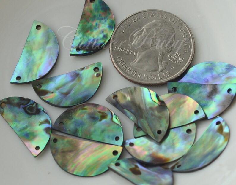 May include: A group of 12 iridescent abalone shell half-circles with two holes each. The shells are a mix of green, blue, and purple colors. A US quarter is included for size reference.