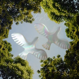 May include: Two iridescent white doves with feathery wings are flying against a blue sky framed by green trees.